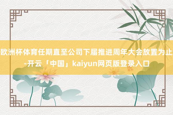 欧洲杯体育任期直至公司下届推进周年大会放置为止-开云「中国」kaiyun网页版登录入口