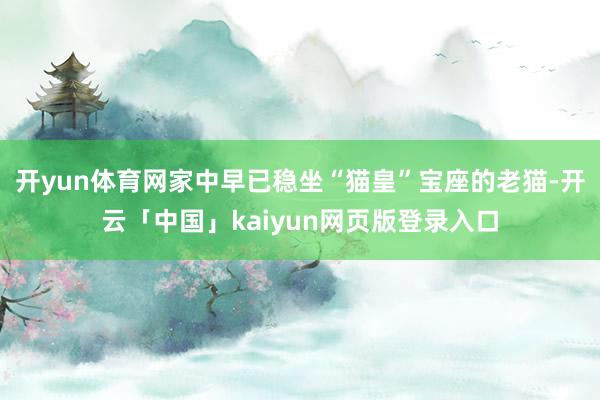 开yun体育网家中早已稳坐“猫皇”宝座的老猫-开云「中国」kaiyun网页版登录入口