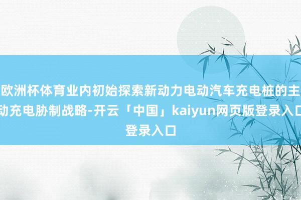 欧洲杯体育业内初始探索新动力电动汽车充电桩的主动充电胁制战略-开云「中国」kaiyun网页版登录入口
